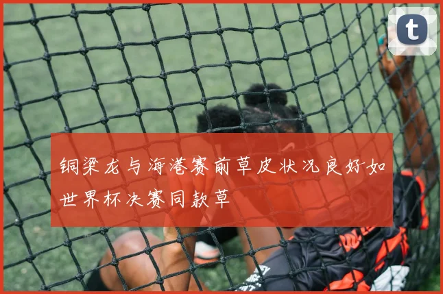 铜梁龙与海港赛前草皮状况良好如世界杯决赛同款草