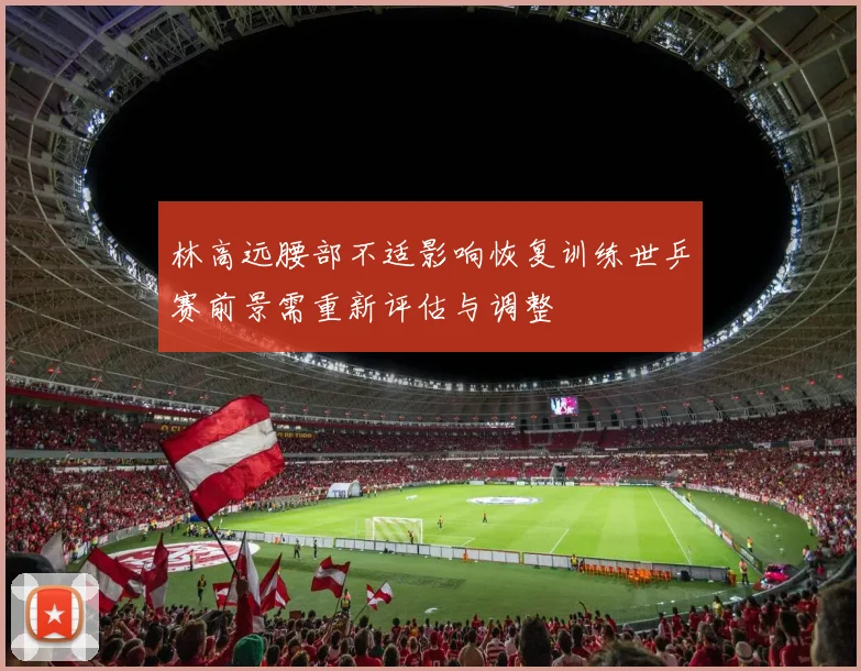 林高远腰部不适影响恢复训练世乒赛前景需重新评估与调整