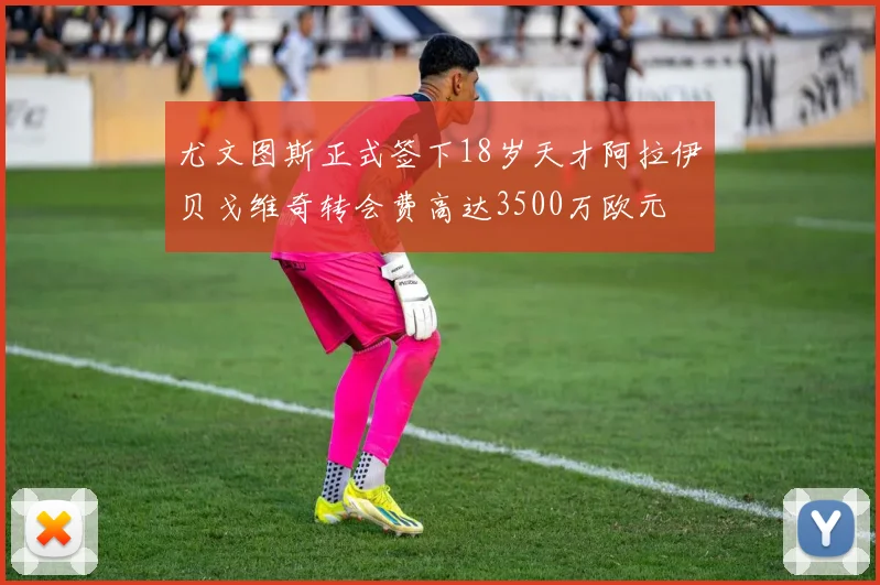 尤文图斯正式签下18岁天才阿拉伊贝戈维奇转会费高达3500万欧元
