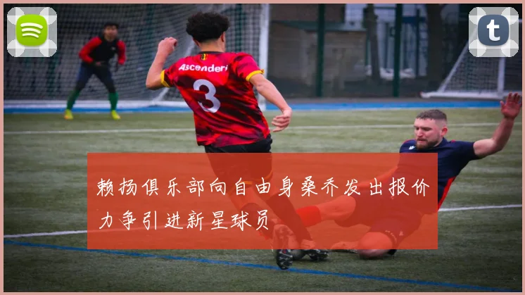 赖扬俱乐部向自由身桑乔发出报价力争引进新星球员