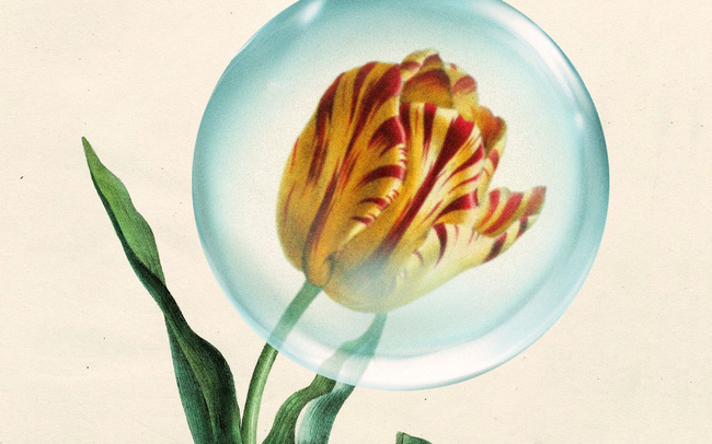 Từ cơn sốt hoa tulip đến sự bùng nổ của cổ phiếu internet: Diễn biến thị trường hiện có điểm gì tương đồng so với những quả bong bóng trước đây?