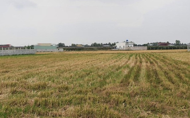 2 tỉnh Long An và Sóc Trăng chuyển mục đích hàng chục héc-ta đất sang đất phi nông nghiệp