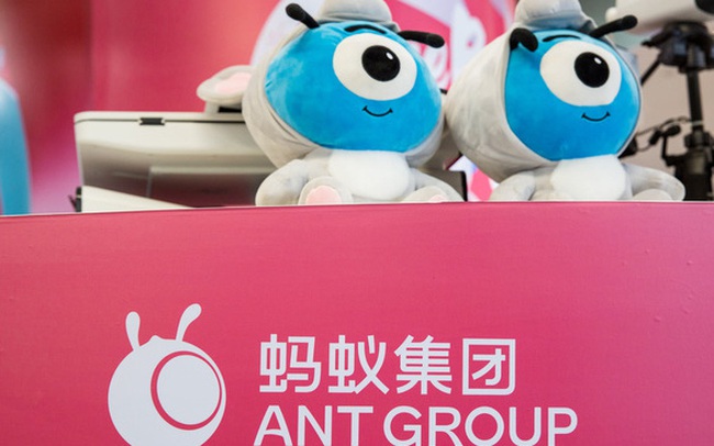 Nóng: Sau khi Jack Ma bị nhà chức trách triệu tập, thương vụ IPO chục tỷ USD của Ant bị đình chỉ, vốn hoá Alibaba ngay lập tức ‘bốc hơi’ gần 70 tỷ USD
