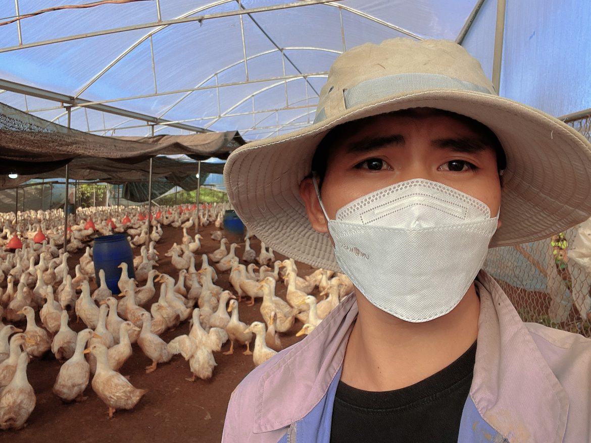 Mô hình “chăn nuôi vịt thương phẩm cao sản trên cạn” tại Nam Ban Lâm Hà Lâm Đồng đã góp phần tăng thu nhập cho Gia Đình Anh Long và tạo ra sản phẩm chất lượng, đáp ứng nhu cầu ngày càng cao của thị trường.