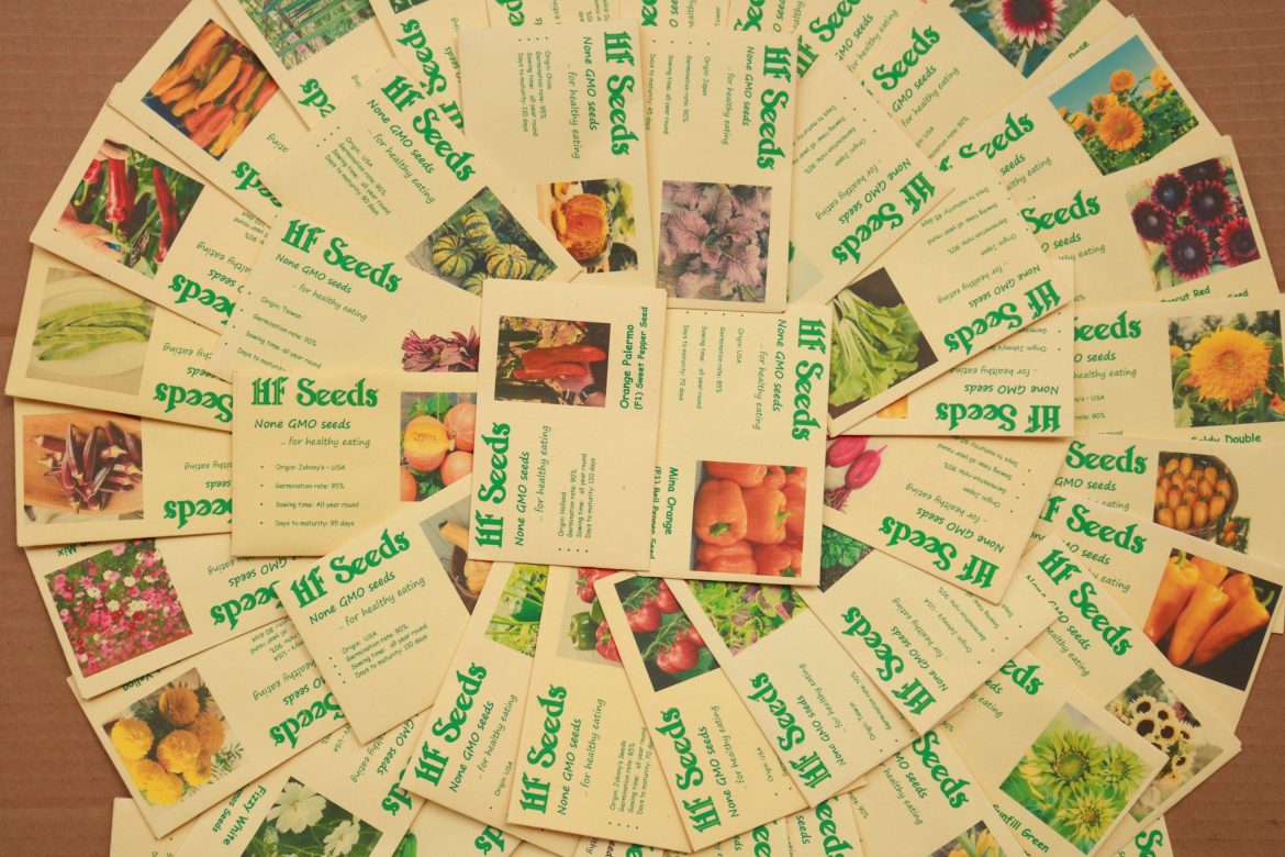 “HF SEEDS – Địa chỉ tin cậy cho hạt giống và cây giống chất lượng”